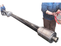 �մɸ׸�10��